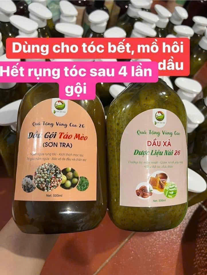 Dược Liệu Núi – Gội & Xả Thảo Mộc 26